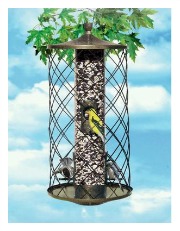 best bird feeder squirrel free