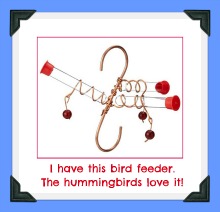 unique bird feeders