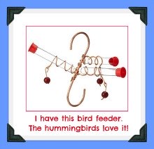 unique bird feeders